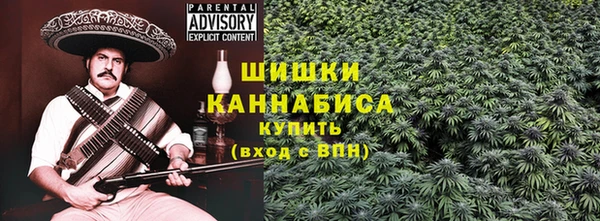 винт Ельня