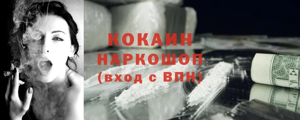 PSILOCYBIN Покачи
