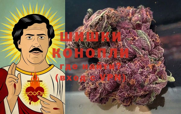 PSILOCYBIN Покачи