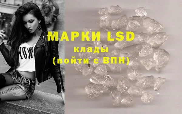 PSILOCYBIN Покачи