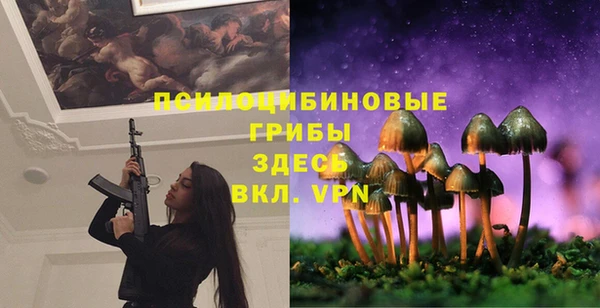 PSILOCYBIN Покачи