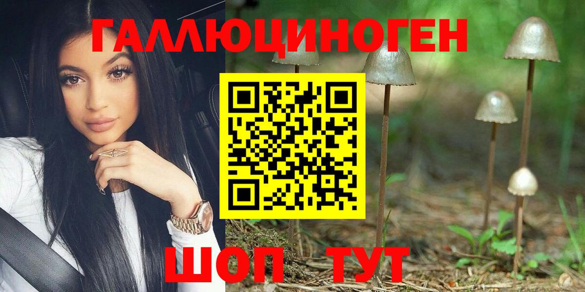 Псилоцибиновые грибы Psilocybine cubensis Алушта