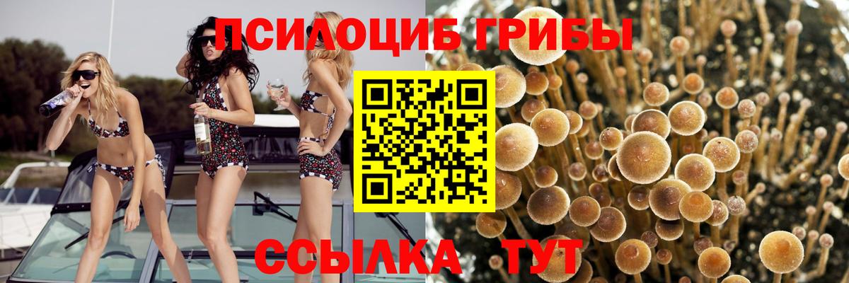 Галлюциногенные грибы MAGIC MUSHROOMS Алушта