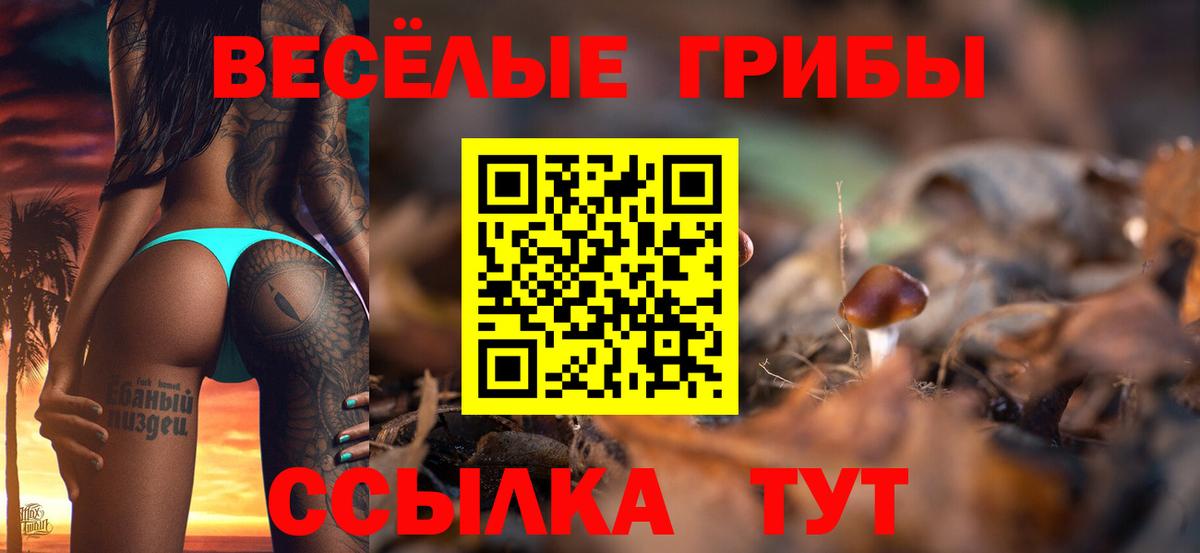 Алушта  Псилоцибиновые грибы прущие грибы  Вход с VPN 