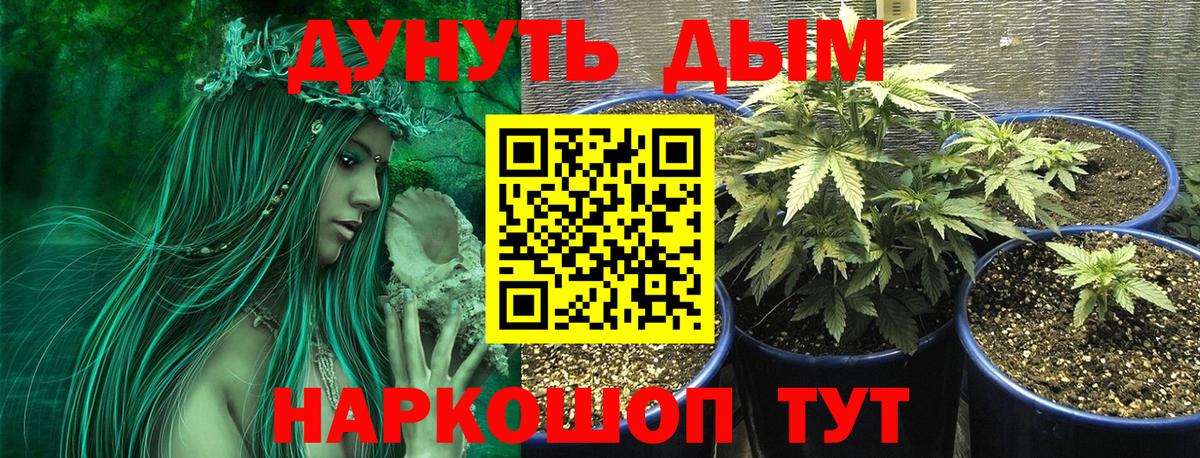 Каннабис тримм  МАРИХУАНА SATIVA & INDICA  Алушта  Бошки марихуана Ganja 