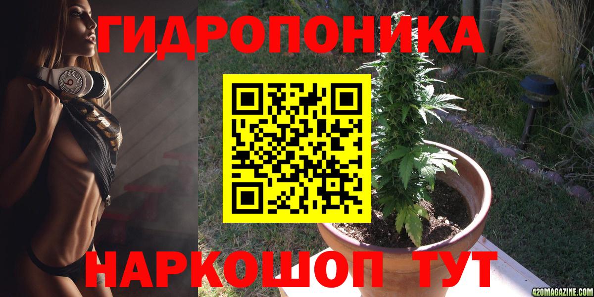 Канабис Amnesia  Марихуана планчик  Алушта  Вход с VPN  Бошки Шишки индика  Канабис Bruce Banner 